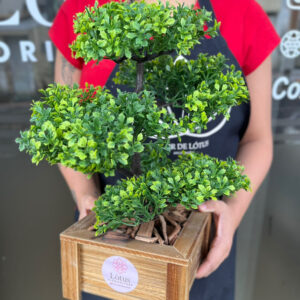 Bonsai artificial