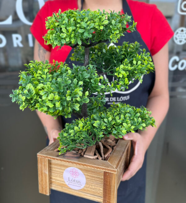 Bonsai artificial