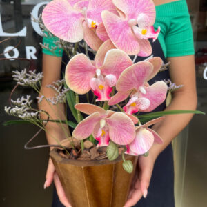 Orquídea artificial com 1 haste
