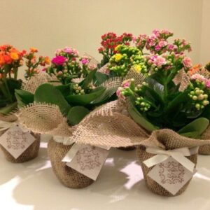 Kalandivas decoradas