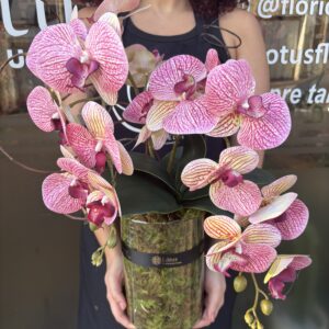 Orquídea artificial no vidro