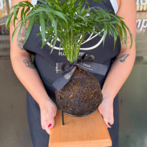 Kokedama de Coqueiro