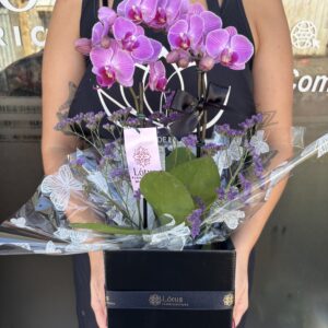 Orquídea na Box