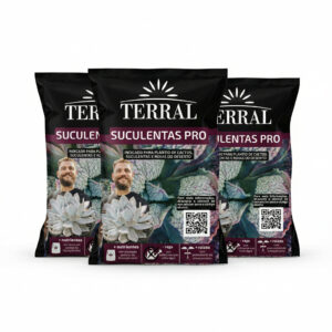 Terral Suculenta