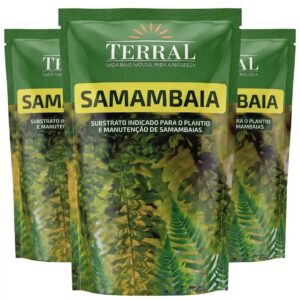 Terral Samambaia